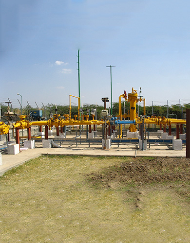 Gas Conditioning & Metering System